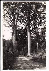 Real Photograph by G E Woolley of Matapouri. - 44784 -