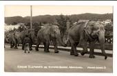 Real Photograph by T G Palmer & Son of Circus Elephants on Victoria Bridge Whangarei. - 44787 - Postcard