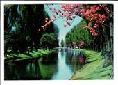 Modern Coloured Postcard by G B Scott of Avon River Christchurch. - 448321 - Postcard