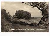 Real Photograph by T G Palmer & Son of the Approach to the Motor Camp Tamatarau. - 44837 - Postcard