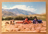 Modern Coloured Postcard by G B Scott of Haymaking Central Otago. - 449407 - Postcard