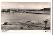 Real Photograph by G E Woolley of Darby and Joan Waipoua Forest. - 44964 -