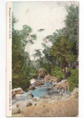 Coloured postcard of Whangarei River below the Falls. - 44978 - Postcard