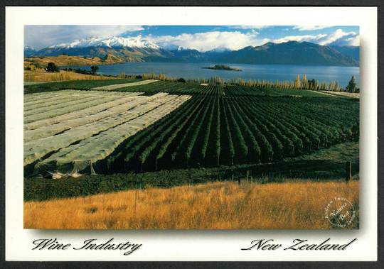 WINE INDUSTRY New Zealand Modern Coloured Postcard. - 449785 - Postcard