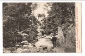 Postcard Below Whangarei Falls. - 44987 - Postcard