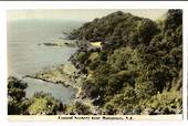 Tinted Postcard by N S Seaward of Coastal Scenery near Matapouri. - 44996 - Postcard