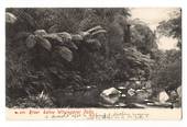 Early Undivided Postcard of River below Whangarei Falls. - 45007 - Postcard