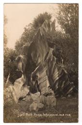 Real Photograph by Radcliffe of Shell Rock Kamo Whangarei. - 45011 - Postcard