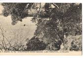 Postcard A Favourite Picnic Resort Lake Takapuna. Excellent condition. - 45101 - Postcard