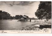 Real Photograph by Dawson of Leigh. Published by My Bonnie Studios Ltd 58 Clevedon Road Papakura. - 45130 - Postcard