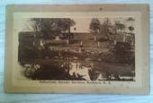 Sepia Postcard of Domain Gardens Auckland. - 45198 - Postcard