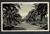 Real Photograph of Main Entrance Racecourse Ellerslie. - 45254 - Postcard