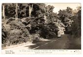 Real Photograph by Dawson of the Scenic Drive Auckland. - 45543 - Postcard