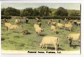 Tinted Postcard by N S Seaward of Pastoral Scene Waikato. - 45798 - Postcard