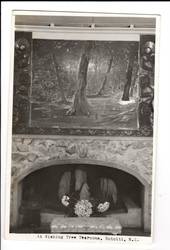 Real Photograph by N S Seaward. Interior dispaly at the Wishing Tree Tearooms Rotoiti. - 45937 - Postcard