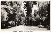 Real Photograph by N S Seaward of Hongi's Track Rotorua. - 45941 - Postcard