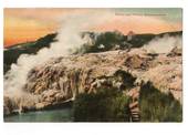 Coloured postcard of Kereru and Pohutu Whakarewarewa. - 46017 - Postcard