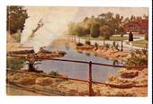 Coloured postcard of Malfroy Geyser Sanitorium Gardens. - 46082 - Postcard
