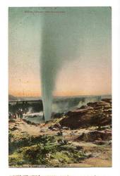 Coloured postcard of Wairoa Geyser Whakarewarewa. - 46083 - Postcard