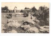 Postcard of Sanatorium Building Rotorua. - 46106 - Postcard