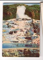 Coloured postcard of Waikite Geyser Rotorua. - 46116 - Postcard