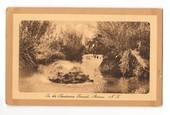 Sepia Postcard (of the lake Edge) in the Sanitorium Grounds Rotorua. - 46165 - Postcard