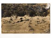 Real Photograph by Smith of the Devils Reception Whakarewarewa. - 46182 - Postcard