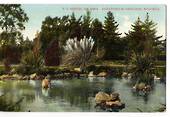Coloured postcard of Sanatorium Grounds Rotorua. - 46207 - Postcard