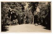 Real Photograph by N S Seaward of Hongi's Track Rotorua. - 46242 - Postcard