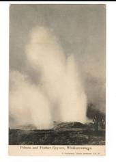 Postcard of Pohutu and Feather Geysers Whakarewarewa. - 46274 - Postcard