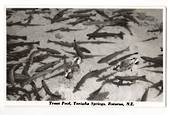 Real Photograph by N S Seaward of Trout Pool Taniwha Springs. - 46279 - Postcard