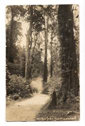 Real Photograph by Radcliffe of Hongi's Track Rotorua. The horse and cart variety. Faults. - 46288 - Postcard