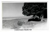 Real Photograph by N S Seaward of Coastal Scenery Opotiki. The same card in tinted (#46339) is entitled Waiotahi Beach. - 46338