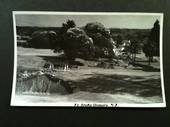 Real Photograph by N S Seaward of Te Aroha Domain. #46532 - 46531 - Postcard