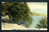 Tinted Postcard by N S Seaward of Coastal Scenery Coromandel Peninsula. - 46680 - Postcard