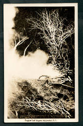 Real Photograph by A B Hurst & Son of Eagles Nest Geyser Wairakei. - 46731 - Postcard