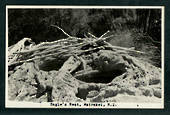 Real Photograph by N S Seaward of The Eagles Nest Wairaki. - 46734 - Postcard