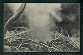 Postcard of Eagles Nest Geyser in action Wairakei. - 46764 - Postcard