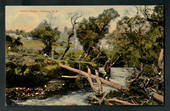 Coloured postcard of Rustic Bridge Ohakune. - 46817 - Postcard