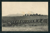 Postcard of Tongariro Range and Ngauruhoe Volcano fromWaimarino Station. - 46832 - Postcard