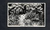 Real Photograph by N S Seaward of Garden Scene Stratford. - 46910 - Postcard