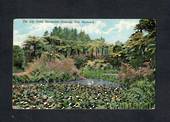 Coloured Postcard of The Lily Pond Recreation Grounds New Plymouth. - 46920 - Postcard