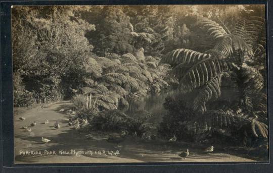 NEW PLYMOUTH Pukekura Park Real Photograph by Radcliffe. - 46928 - Postcard