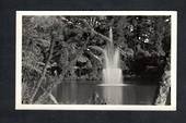 Real Photograph by Teeds of Fountain Pukekura Park. - 46935 - Postcard