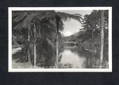 Real Photograph by Teeds of Pukekura Park and Mt Egmont. - 46947 - Postcard