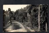 Real Photograph by Radcliffe of Pukekura Park New Plymouth. - 46962 - Postcard