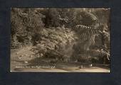 Real Photograph by Radcliffe of Pukekura Park New Plymouth. - 46983 - Postcard