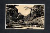 Real Photograph by Teeds of Pukekura Park New Plymouth. - 47011 - Postcard