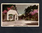 Coloured Real Photograph by A B Hurst & Son. In Pukekura Park New Plymouth. - 47016 - Postcard