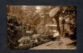 Real Photograph by Radcliffe of the Recreation Grounds New Plymouth. - 47046 - Postcard